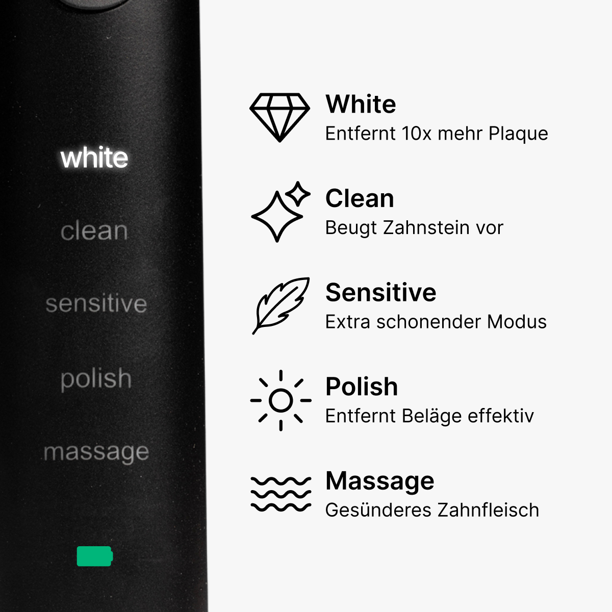 D2 Pro Elektrische Zahnbürste